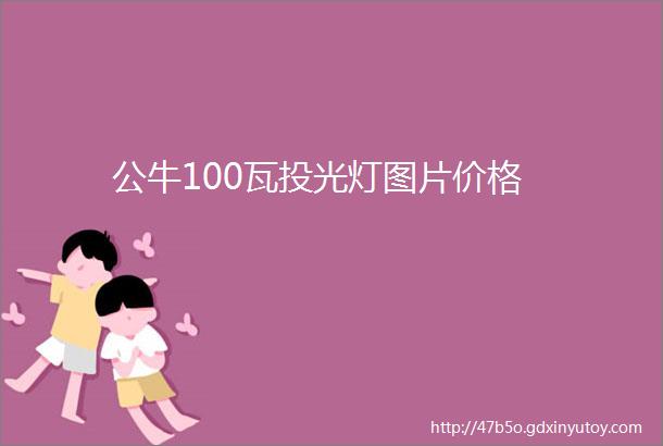 公牛100瓦投光灯图片价格