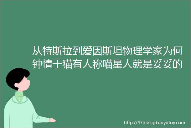 从特斯拉到爱因斯坦物理学家为何钟情于猫有人称喵星人就是妥妥的ldquo物理学家rdquo