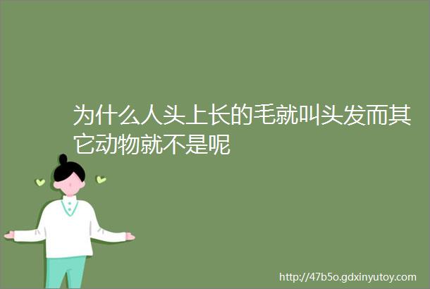 为什么人头上长的毛就叫头发而其它动物就不是呢