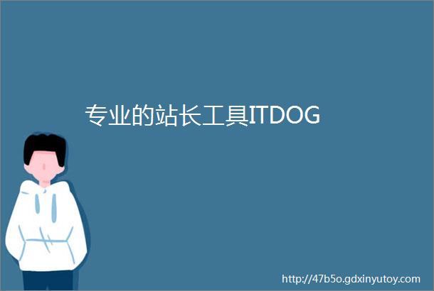 专业的站长工具ITDOG