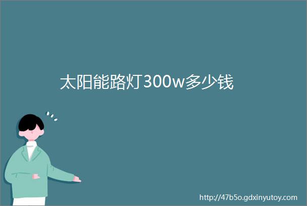 太阳能路灯300w多少钱