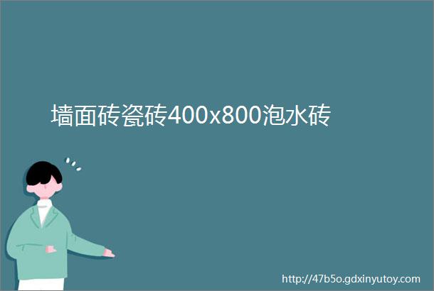 墙面砖瓷砖400x800泡水砖